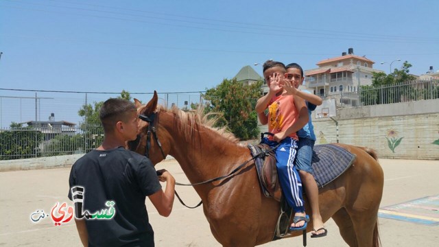 كفرقاسم - فيديو  : تعليم هواية ركوب الخيل في مدرسة جنة ابن رشد في اليوم الرابع لصيف الصادقة 